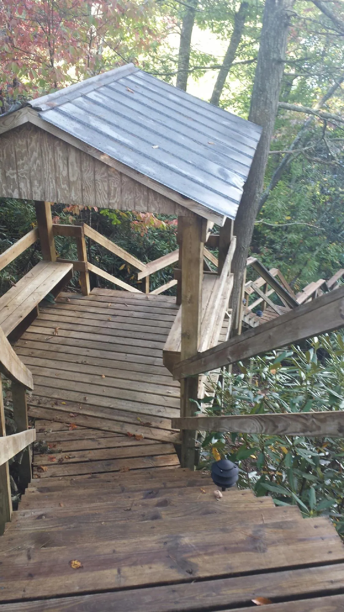 Metal roofed shelter over wooden steps on a wooded walkway — Skylight Repair & Installation work by our crew in Land O Lakes