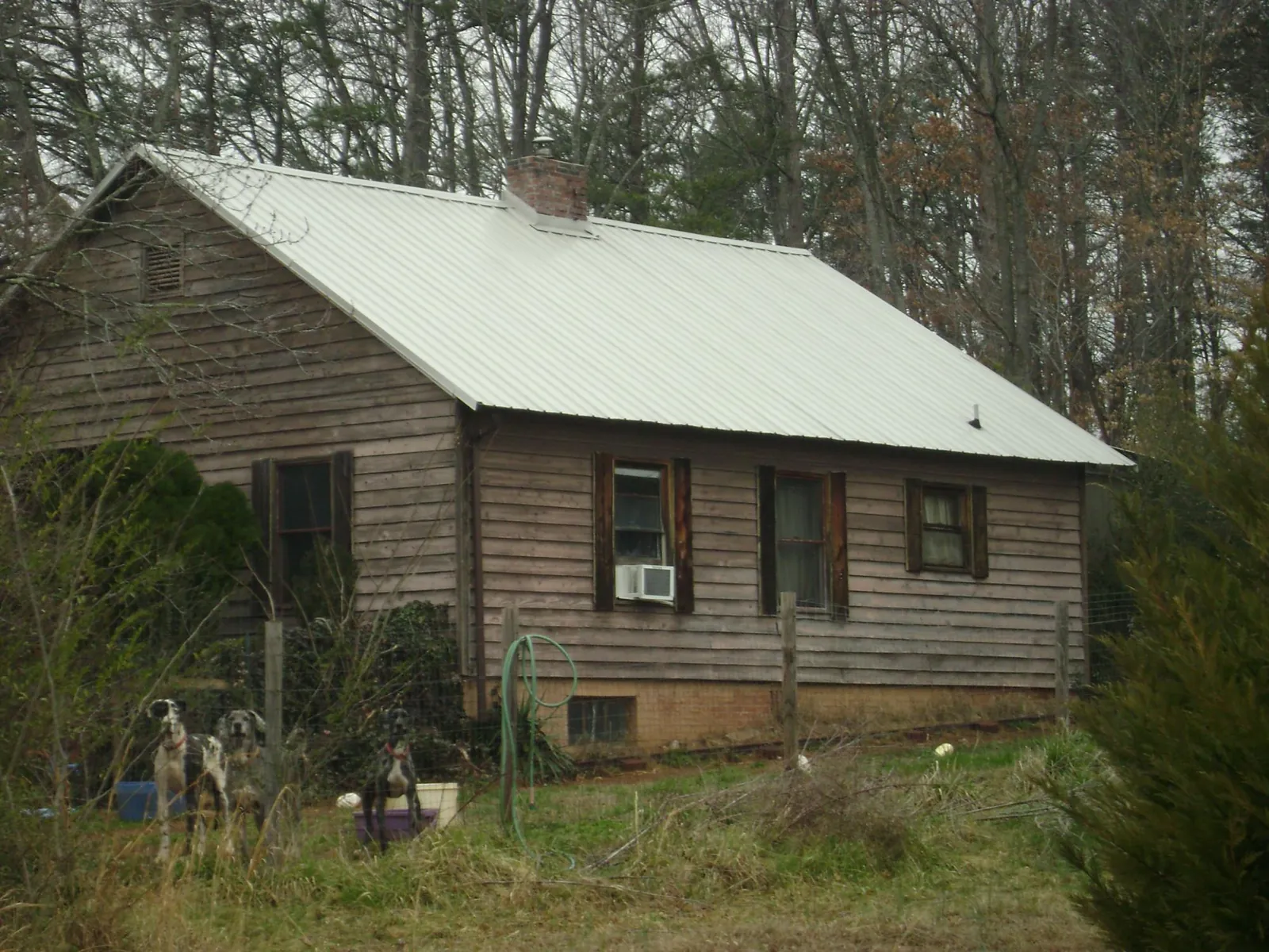 White metal roof on an old wood sided farmhouse, from a Metal Roof Installation job in Land O Lakes
